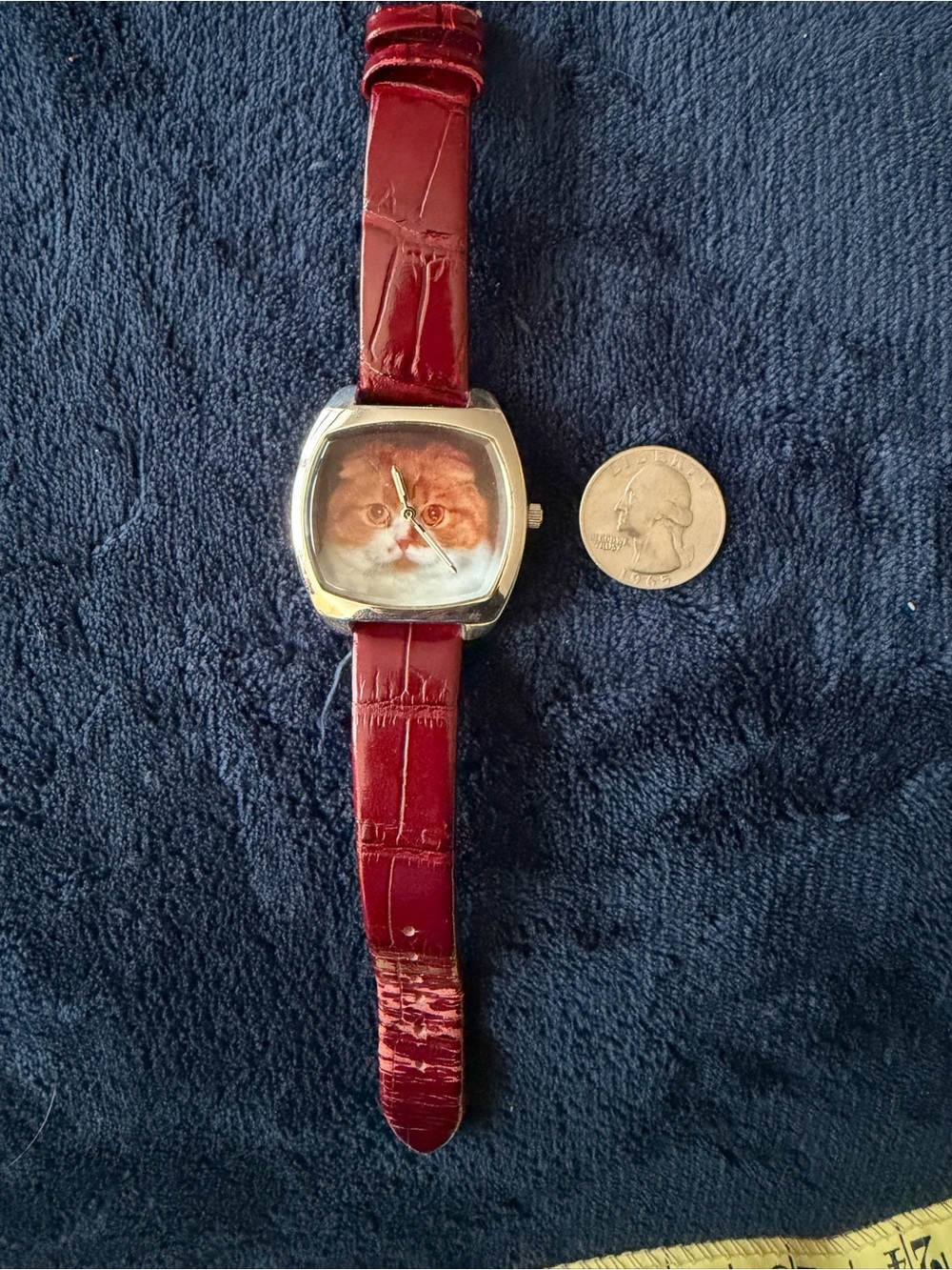 Scottish Fold Cat Watch- Unbranded - Picture 3 of 5